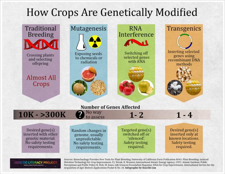 How crops are modified